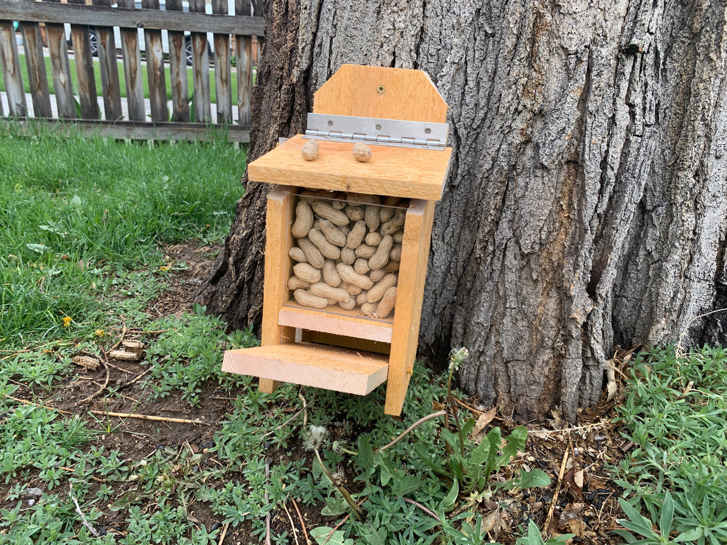 Squirrel Feeder with Lid Lift Mechanism Plans
