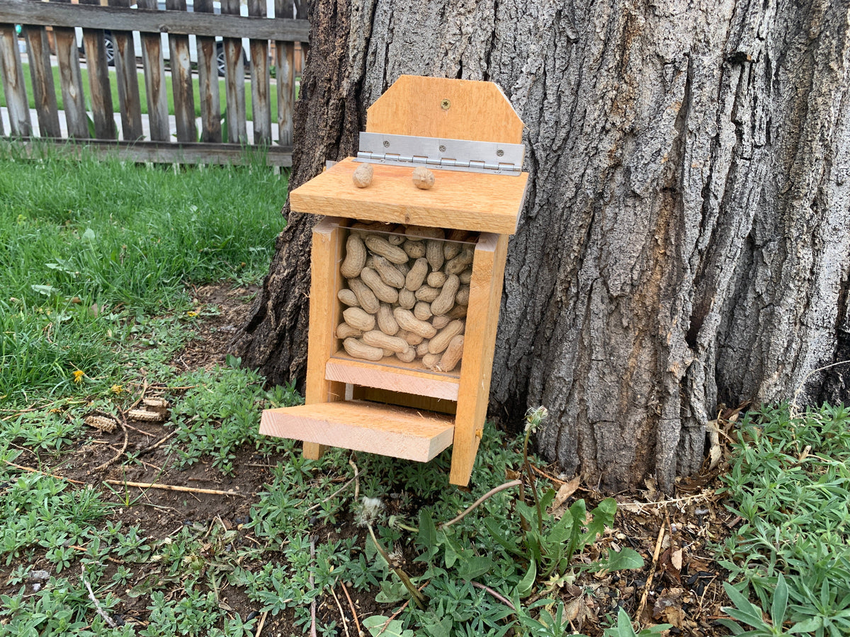 Squirrel Feeder with Lid Lift Mechanism Plans