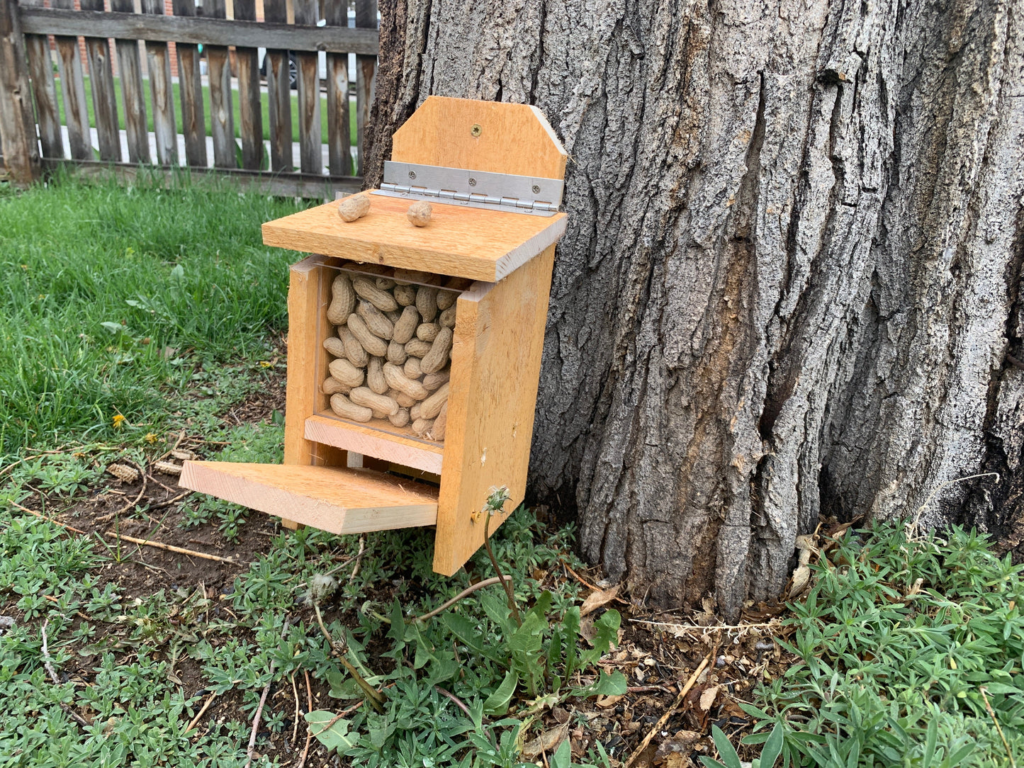 Squirrel Feeder with Lid Lift Mechanism Plans