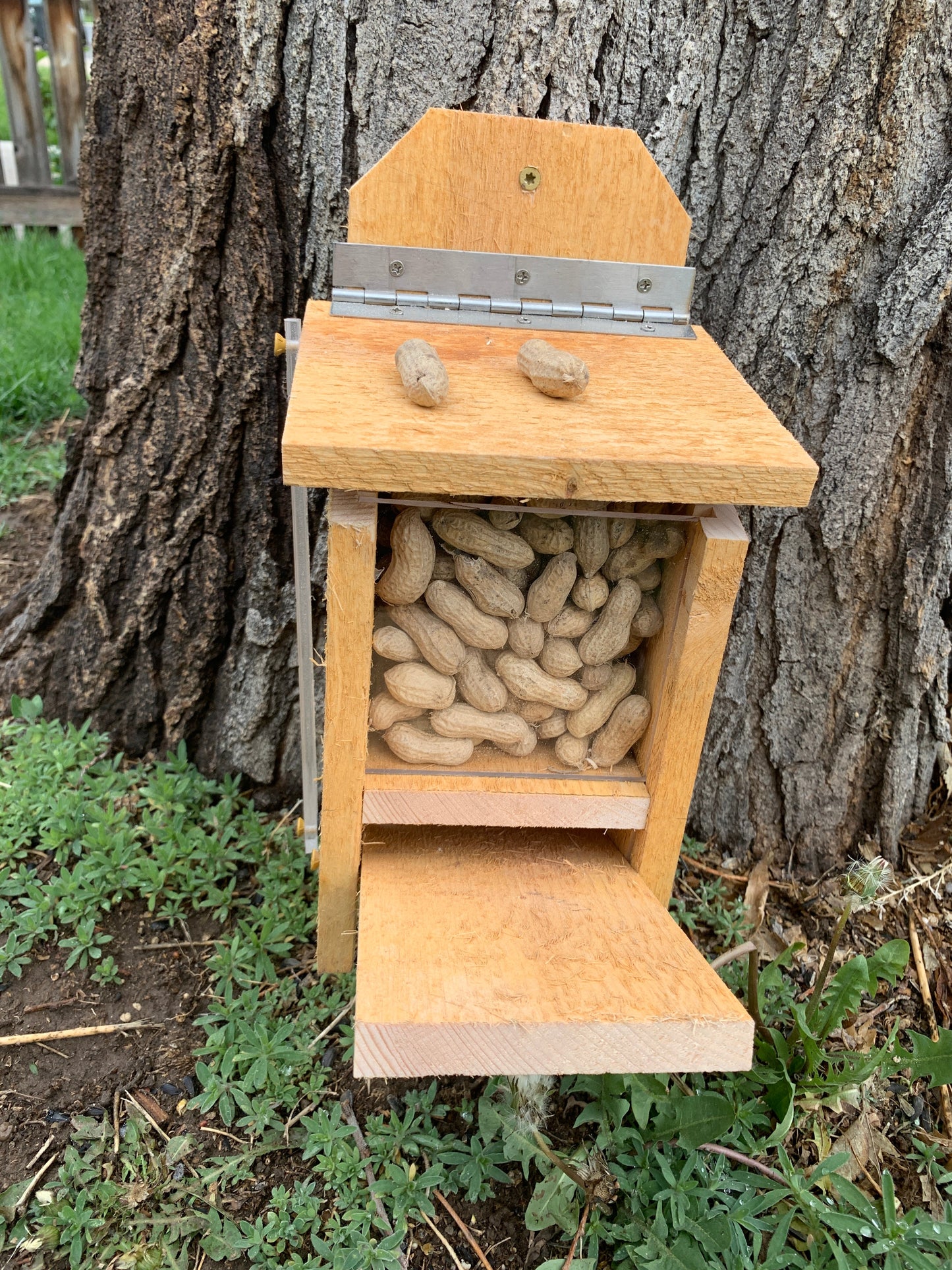 Squirrel Feeder with Lid Lift Mechanism Plans